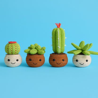 Cactus Potted Plants Crochet Kit